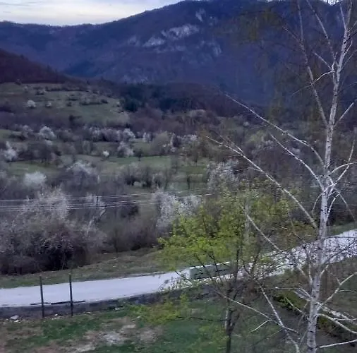 Hotel варненци